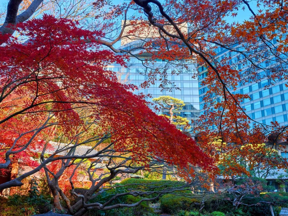 Hotel New Otani Tokyo The Main Luaran gambar Autumn at the University of Tokyo